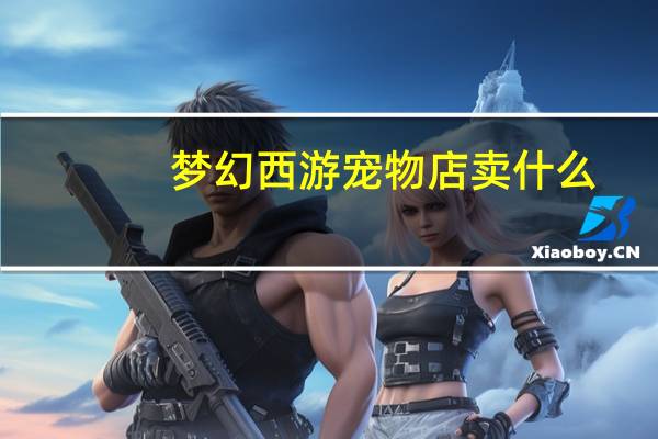 梦幻西游宠物店卖什么
