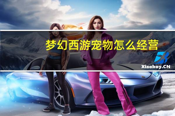 梦幻西游宠物怎么经营