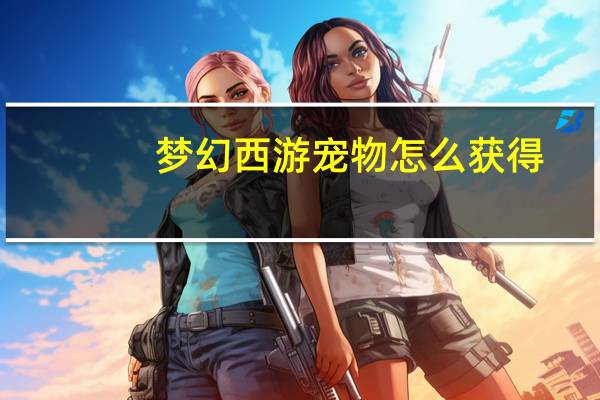梦幻西游宠物怎么获得