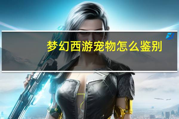 梦幻西游宠物怎么鉴别