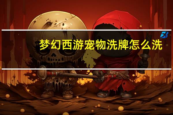 梦幻西游宠物洗牌怎么洗
