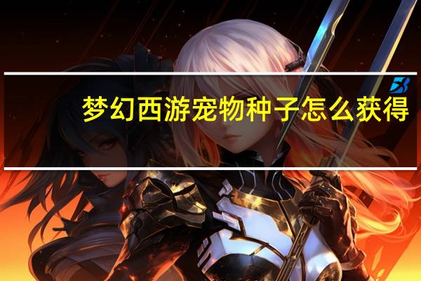 梦幻西游宠物种子怎么获得