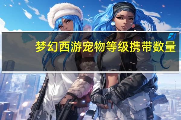 梦幻西游宠物等级携带数量