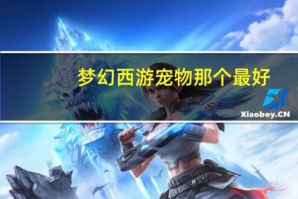 梦幻西游宠物那个最好