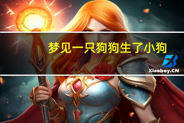 梦见一只狗狗生了小狗