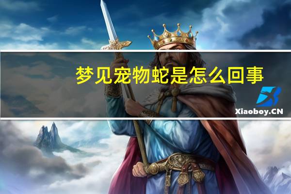 梦见宠物蛇是怎么回事