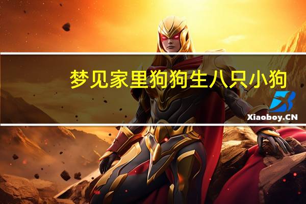 梦见家里狗狗生八只小狗