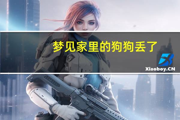 梦见家里的狗狗丢了