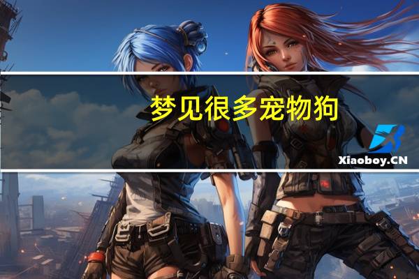 梦见很多宠物狗