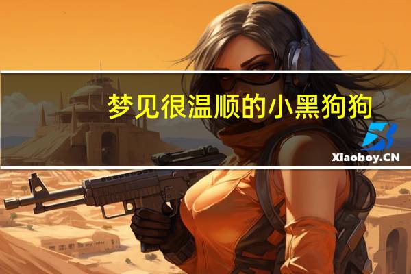 梦见很温顺的小黑狗狗