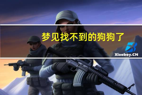 梦见找不到的狗狗了