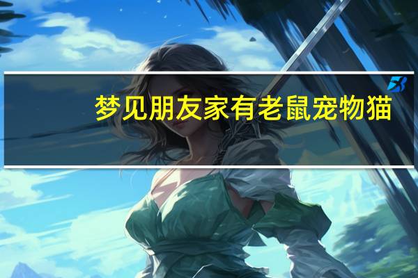 梦见朋友家有老鼠宠物猫
