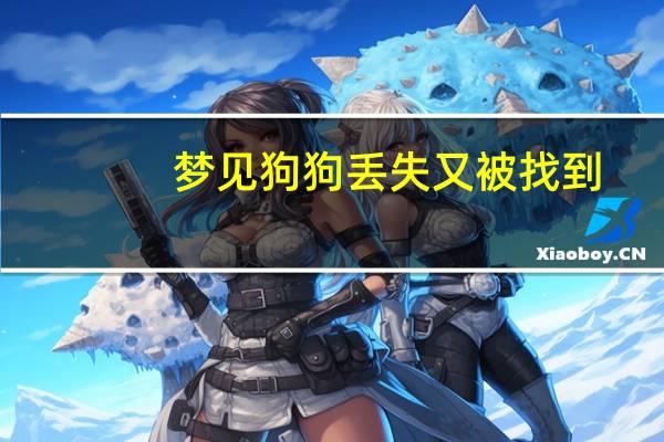 梦见狗狗丢失又被找到