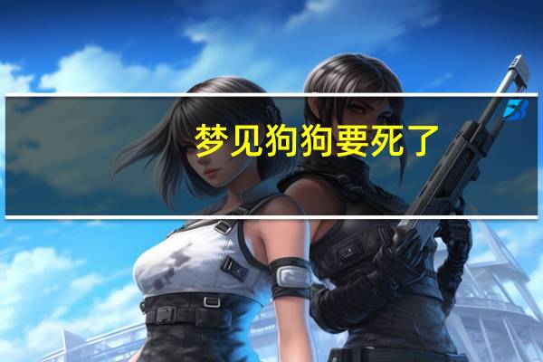 梦见狗狗要死了