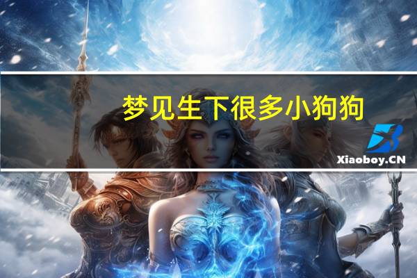 梦见生下很多小狗狗