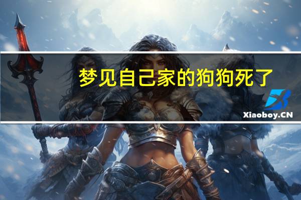 梦见自己家的狗狗死了