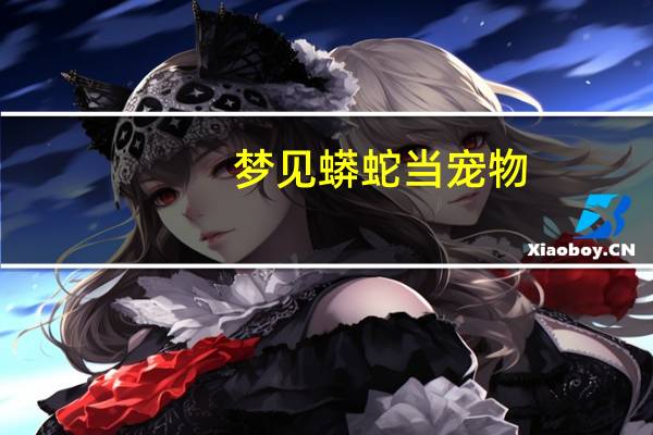 梦见蟒蛇当宠物