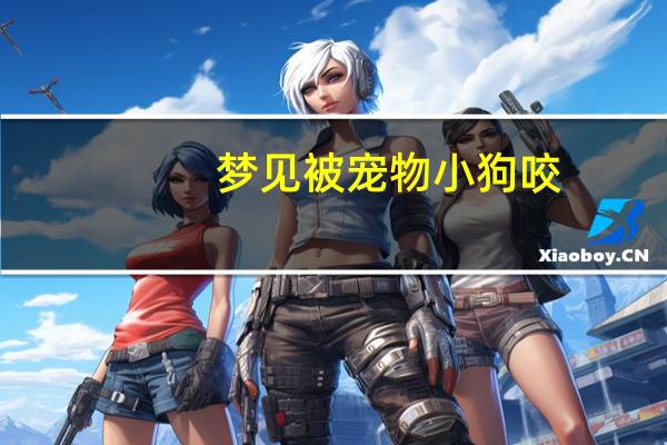梦见被宠物小狗咬