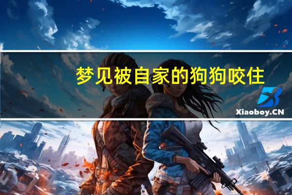 梦见被自家的狗狗咬住