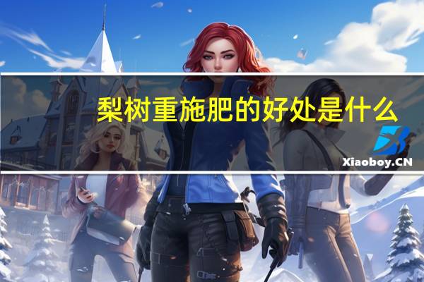 梨树重施肥的好处是什么