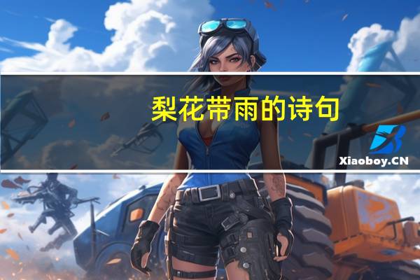 梨花带雨的诗句