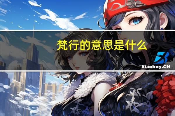 梵行的意思是什么