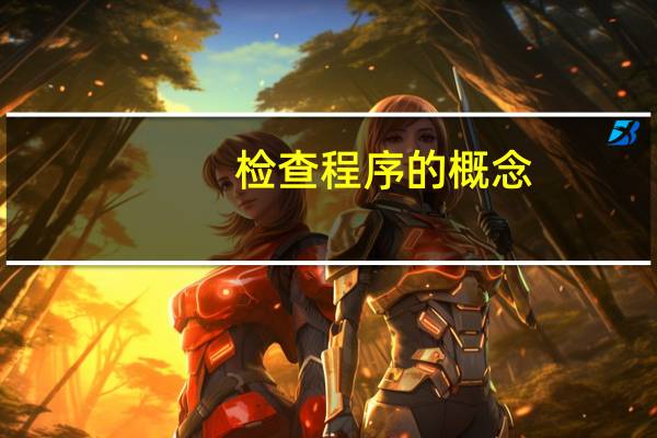 检查程序的概念