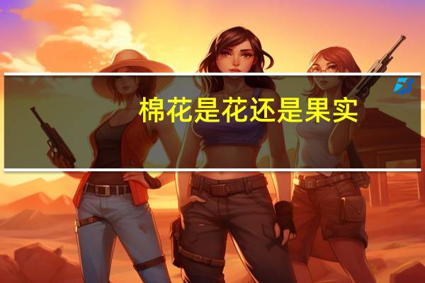 棉花是花还是果实