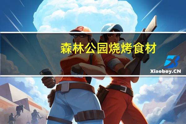 森林公园烧烤食材