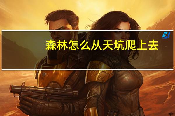 森林怎么从天坑爬上去