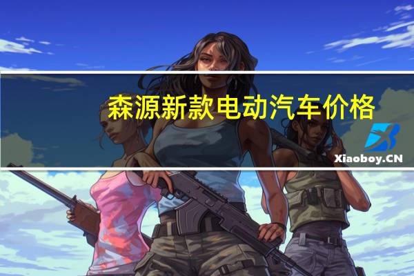 森源新款电动汽车价格