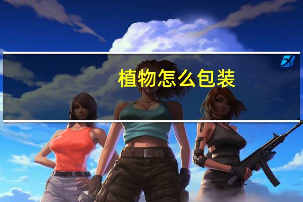 植物怎么包装