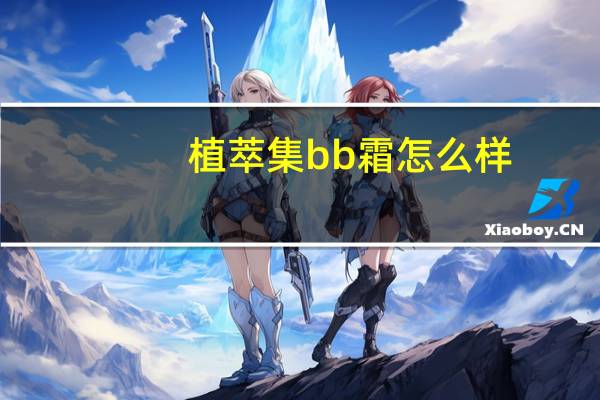 植萃集bb霜怎么样