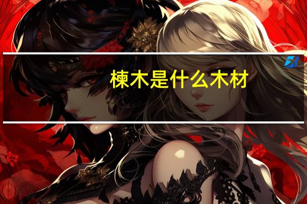 楝木是什么木材