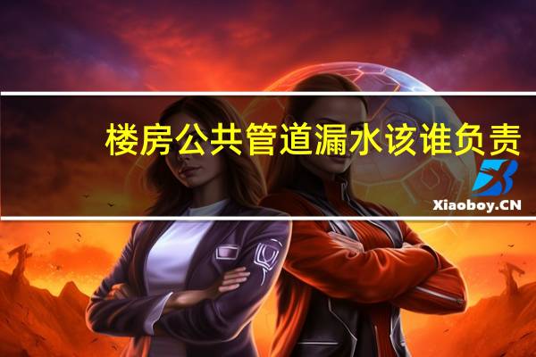 楼房公共管道漏水该谁负责