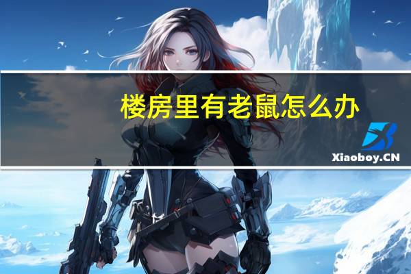 楼房里有老鼠怎么办