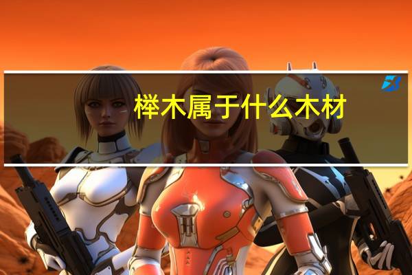 榉木属于什么木材