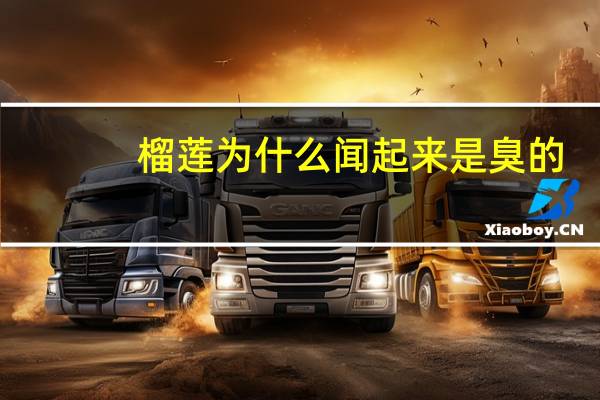 榴莲为什么闻起来是臭的