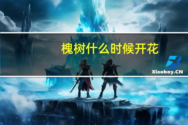 槐树什么时候开花