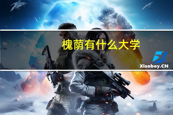 槐荫有什么大学