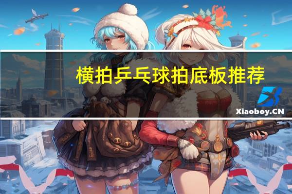 横拍乒乓球拍底板推荐