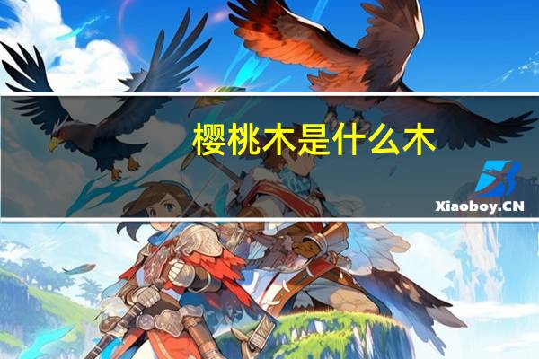 樱桃木是什么木