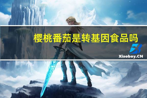 樱桃番茄是转基因食品吗