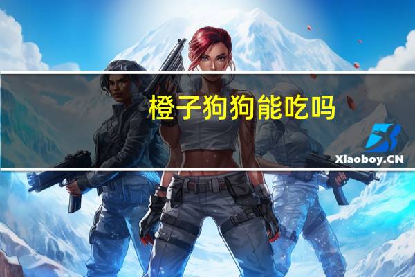 橙子狗狗能吃吗