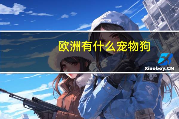 欧洲有什么宠物狗