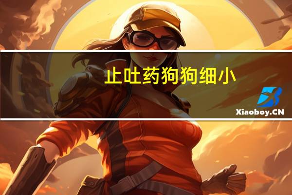 止吐药狗狗细小