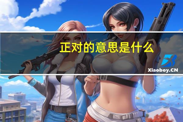 正对的意思是什么