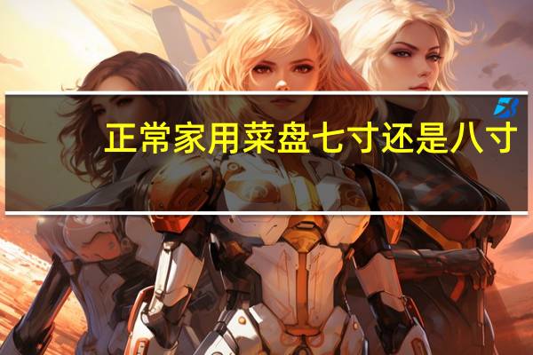正常家用菜盘七寸还是八寸