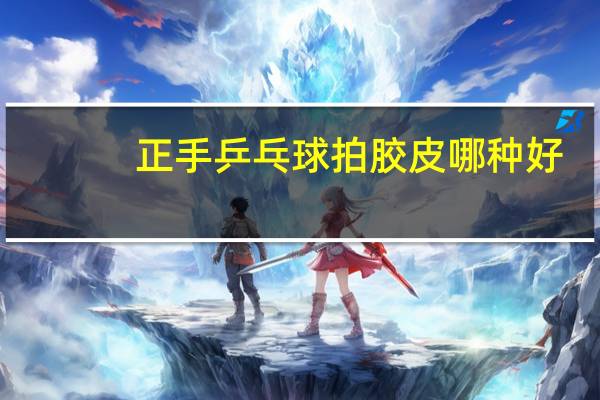 正手乒乓球拍胶皮哪种好