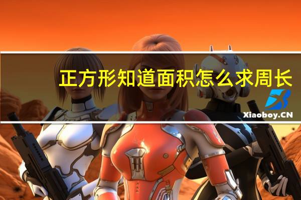 正方形知道面积怎么求周长